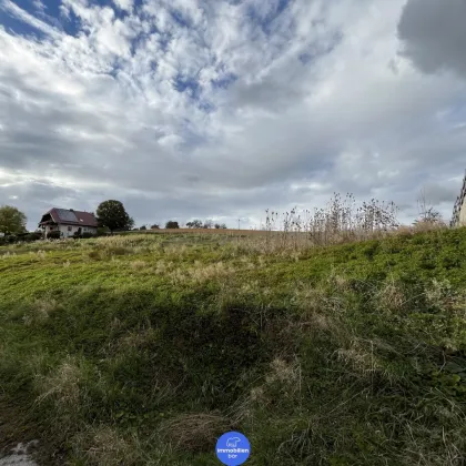 Leben auf der Sonnenseite - Grundstück mit Weitblick - Tollet - kein Bauzwang - Bild 2