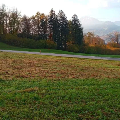 Hinaus ins Grüne! sonnenverwöhnter Baugrund - Bild 3