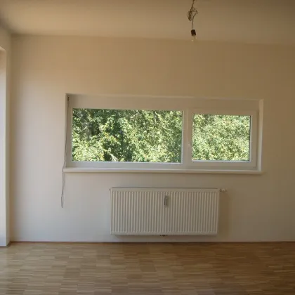 Ries 84m² 3-Zimmer-Wohnung Balkon Preishit! - Bild 2