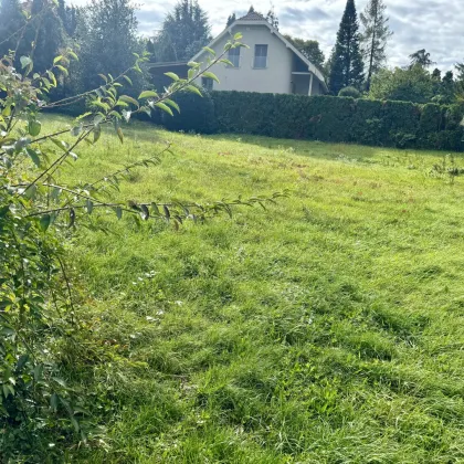 Rarität im Villenviertel von Sopron! Unbebautes Eckgrundstück direkt neben dem botanischen Garten! - Bild 2