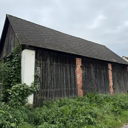 Einfamilienhaus, Landwirtschaft, Anleger, Fernitz-Mellach , zentrale Lage Whfl. 117,69m², 4 Zimmer, Grund 20.181 m² - Bild 3