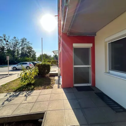 HELLE ERDGESCHOSSWOHNUNG IN TOP LAGE MIT TERRASSE UND GARAGE - Bild 2