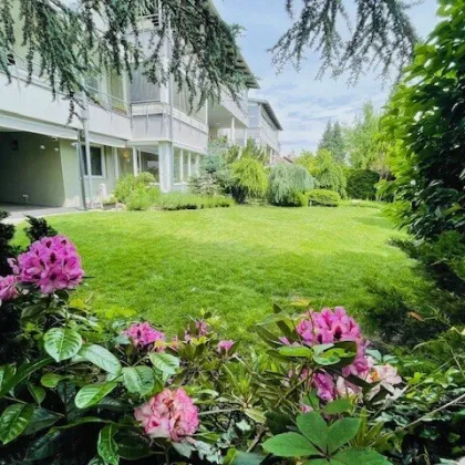 Gartenwohnung direkt an der Drau/Villach Zentrum! - Bild 2