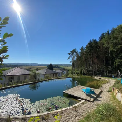 Ein einzigartiges PARADIES-Naturpool-direkt am Waldesrand - Bild 2