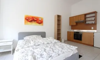 Möblierte 1-Zimmer-Wohnung im Herzen von Wien! Kurzzeitvermietung!