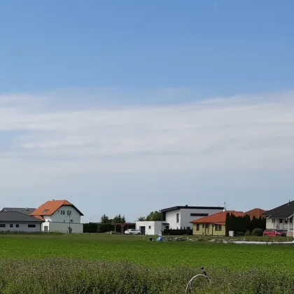 Baugrund in Engelhartstetten, Bezirk Gänserndorf, Marchfeld - Bild 3