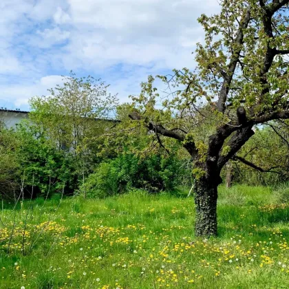 Siedlungslage I Grundstück I Strasshof [A\\] - Bild 2