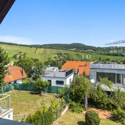 Traumhaftes Grundstück mit idyllischem Blick über Wiens Weinberge - Bild 2