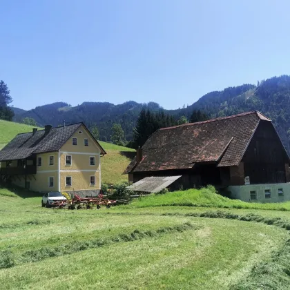 Bauernhof - 27.500m² Hofstelle mit umliegenden Wiesenflächen und Wald - Bild 3