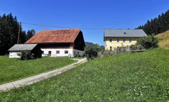 Bauernhof - 27.500m² Hofstelle mit umliegenden Wiesenflächen und Wald