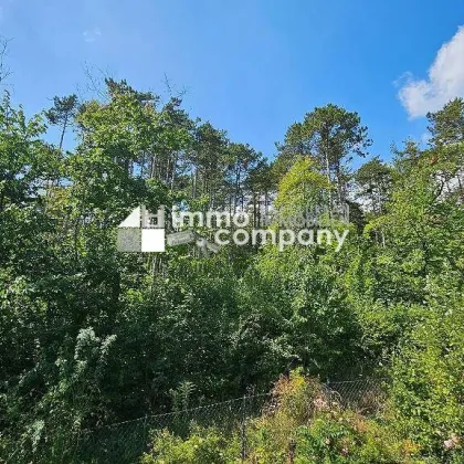 TRAUMWOHNUNG mit Garage und Klimaanlage in Enzesfeld-Lindabrunn - Bild 3