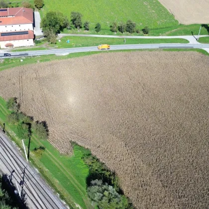 Betriebsbaugrundstück (B) I 24.000 m²​​​​​​​ I ideale Verkehrsanbindung I Baubewilligung bereits vorhanden! - Bild 3