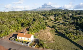 Ab auf die Insel Pico - Azoren - Portugal