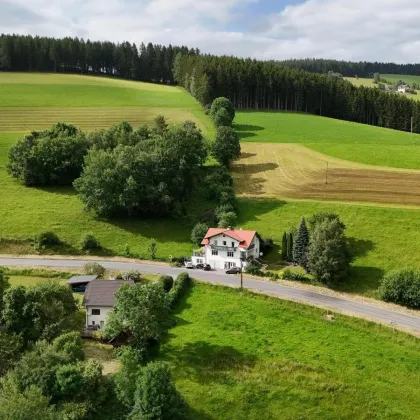 Großzügiges Familienhaus, guter Zustand, in wunderschöner Natur! Provisionsfrei! - Bild 3