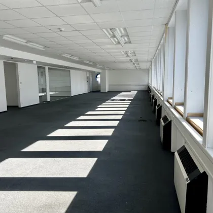 Hell, Kühl, Breiter Parkplatz - Ihr Büro/Praxis von 200m2 bis 3.600m2 - Bild 3