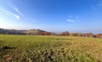 ZUM KAUF: Grundstück in der malerischen Südsteiermark