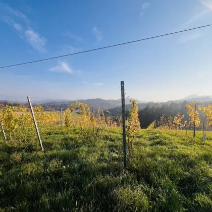 ZUM KAUF: Grundstück in der malerischen Südsteiermark - Bild 3