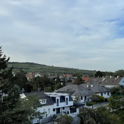 Wunderschöne 3-Zimmer-Mietwohnung mit Weinbergblick in Guntramsdorf - Bild 3