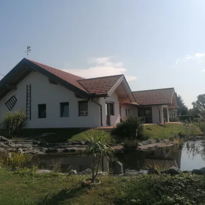 Traumhaus in sonniger Ruhelage in der Thermen und Golfregion Stegersbach - Bild 2