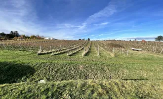 Verlassenschaft zum Top-Preis (!) Charmante Villa im Dornröschenschlaf mit Weinberg- und Wienblick (!)