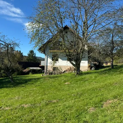 Traditionelles Bauernhaus, 2,7ha Scheibengrund - Perfekt für Naturliebhaber in Bad Gams! - Bild 3