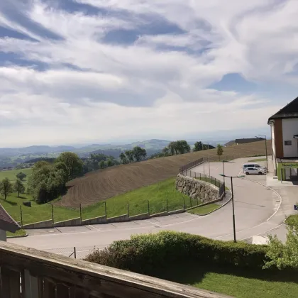 4 Zimmer Familientraum mit Dachterrasse in Neustadtl – PROVISIONSFREI - Bild 3