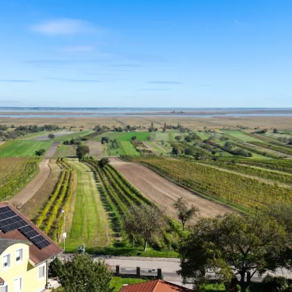 Der Neusiedler See zum Greifen nah - Wohnen mit Panoramablick über den Weingärten - Bild 2