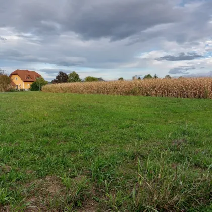 Sonniges und ebenes Baugrundstück in traumhafter Lage - Bild 2