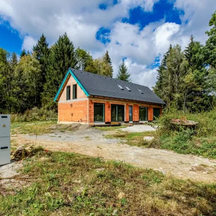 LIPNO REAL: Neubau eines Einfamilienhauses am Waldrand in wunderschöner Natur - Bild 2