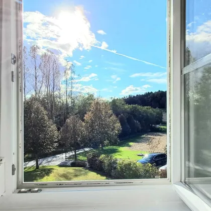 Landhaus-Charme, sonnige 3 ZI mit Naturblick, Parkplatz - Bild 2