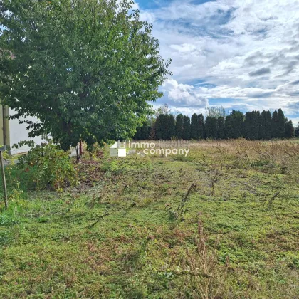 Himmlische Ruhelage, ideal auch für Pferdeliebhaber  - Landwirtschaftsimmobilie mit Potenzial - Bild 3