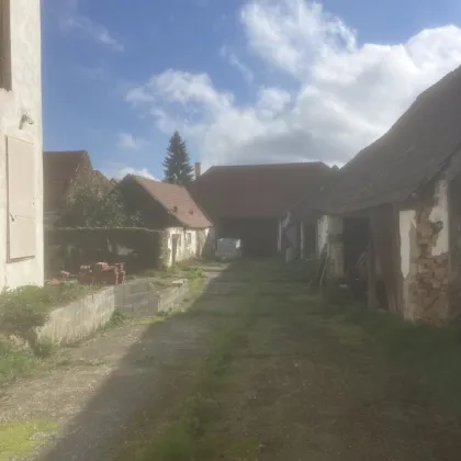 Vierkanthof zum Sanieren mit großen Lagerflächen - Bild 2