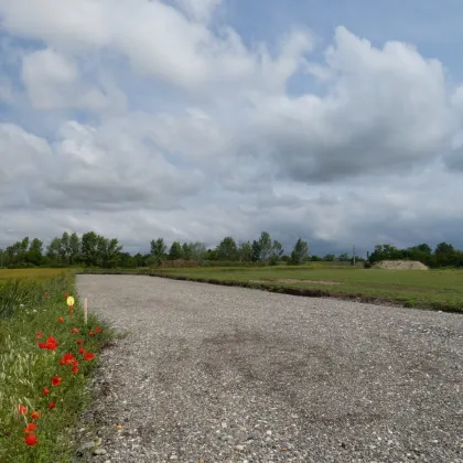 NEUER GEWERBEPARK FÜR KLEIN- UND MITTELBETRIEBE - Bild 2