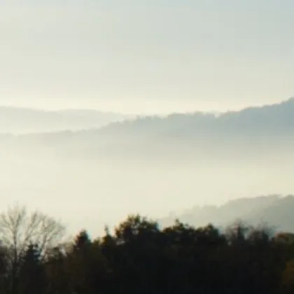 LAGE LAGE LAGE Verlassenschaft - Grundstück mit Linzblick - Altenberg mit Altbestand Einfamilienhaus - Bild 2