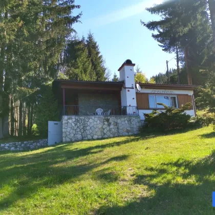 Rustikales Wohn-/Ferienhaus auf der Koralpe im Lavanttal! - Bild 2