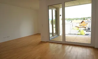 Helle 2 Zimmer Wohnung mit großem Balkon am schönen Wallersee - Neubauprojekt im Baurechtseigentum! PROVISIONSFREI