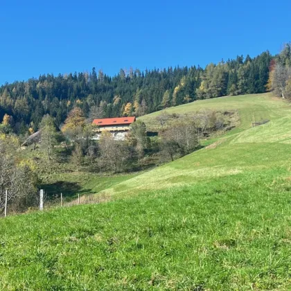 60 ha Land- & Forstwirtschaft mit altem Bauernhaus in Panoramalage - Bild 2