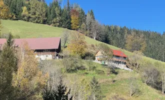 60 ha Land- & Forstwirtschaft mit altem Bauernhaus in Panoramalage