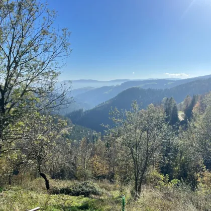 60 ha Land- & Forstwirtschaft mit altem Bauernhaus in Panoramalage - Bild 3