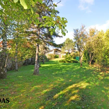 Einfamilienhaus mit GROSSEM GARTEN beim Bahnhof Seyring, Gemeinde Gerasdorf - Bild 3