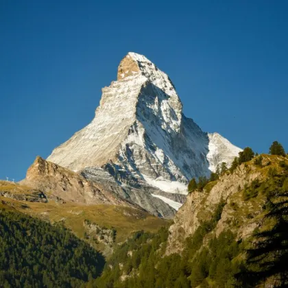 Rarität! Almhütte mit Weitblick und absoluter Ruhelage zu verkaufen - SONNENLAGE - Bild 2