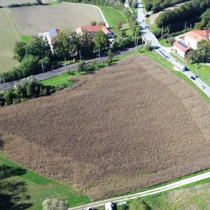 Betriebsbaugrundstück (B) I 12.000 m²​​​​​​​ I ideale Verkehrsanbindung I Baubewilligung bereits vorhanden! - Bild 3