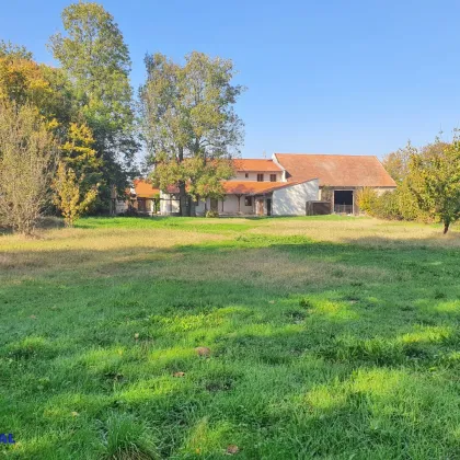 Einfamilienhaus. Familienstützpunkt mit möglichem Zweithaus und Baumhaus. - Bild 3