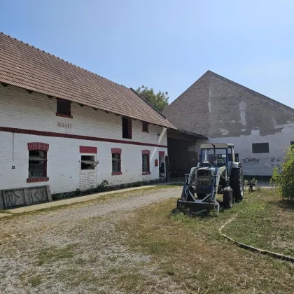 Haus mit Pferdestallungen in absoluter Grünruhelage Nähe Groß-Enzersdorf - Auch für Bauträger geeignet. - Bild 3