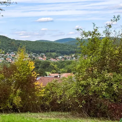 BREITENFURT: TOP BAUGRUND MIT CA. 1.437 m² (2 Parz.) UND FERNBLICK - 6 KM ZUR WIENER STADTGRENZE - Bild 2