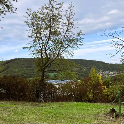 BREITENFURT: TOP BAUGRUND MIT CA. 1.437 m² (2 Parz.) UND FERNBLICK - 6 KM ZUR WIENER STADTGRENZE - Bild 3