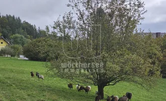 Techelsberg - erschlossenes Baugrundstück