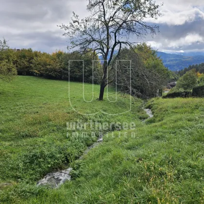 Techelsberg - erschlossenes Baugrundstück - Bild 2