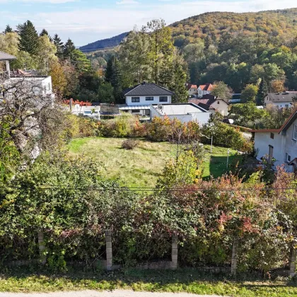 Sonniges Baugrundstück im traumhafter Südlage in Pressbaum - Bild 2