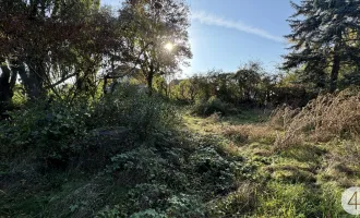 Tolles Grundstück in Biedermannsdorf